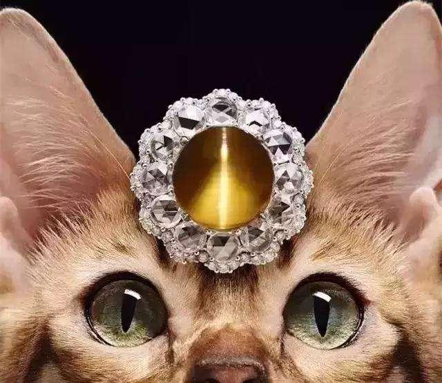 宝石的光学效应：猫眼，星光，变色，砂金，变彩